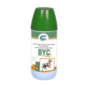 BYC Strong (Liquid Energy Feed Supplement)