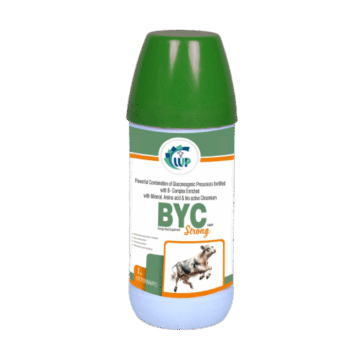 BYC Strong