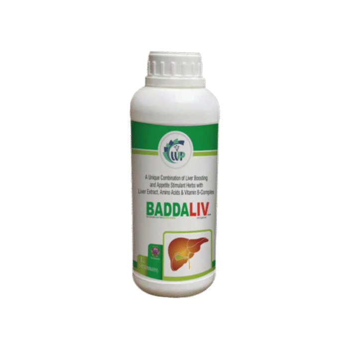 BaddaLiv