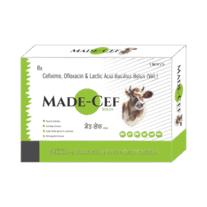 Made-Cef Bolus