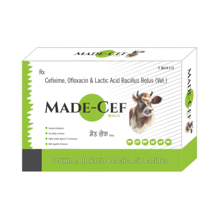 Made-Cef