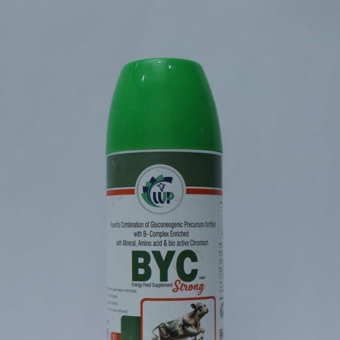 BYC-Strong-2 BYC-Strong-2