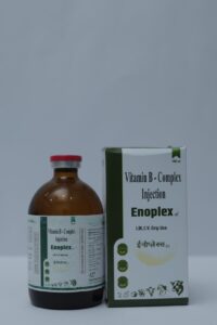 Enoplex Vet Injection