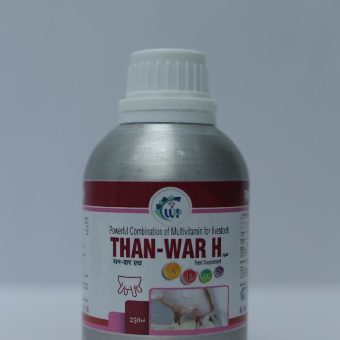 Than-War H Than-War H