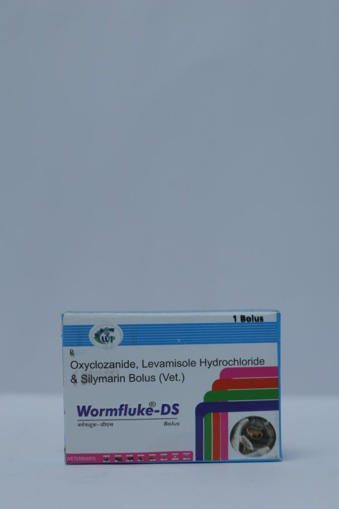 Wormfluke-DS Bolus